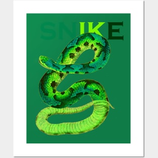 serpent,cobra,reptile,viper,venom,lizard,rattlesnake Posters and Art